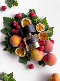 "Pareero Kirke-inspired premium perfume with red fruits, rose, peony, amber, vanilla, and woody notes, high-end fragrance bottle."