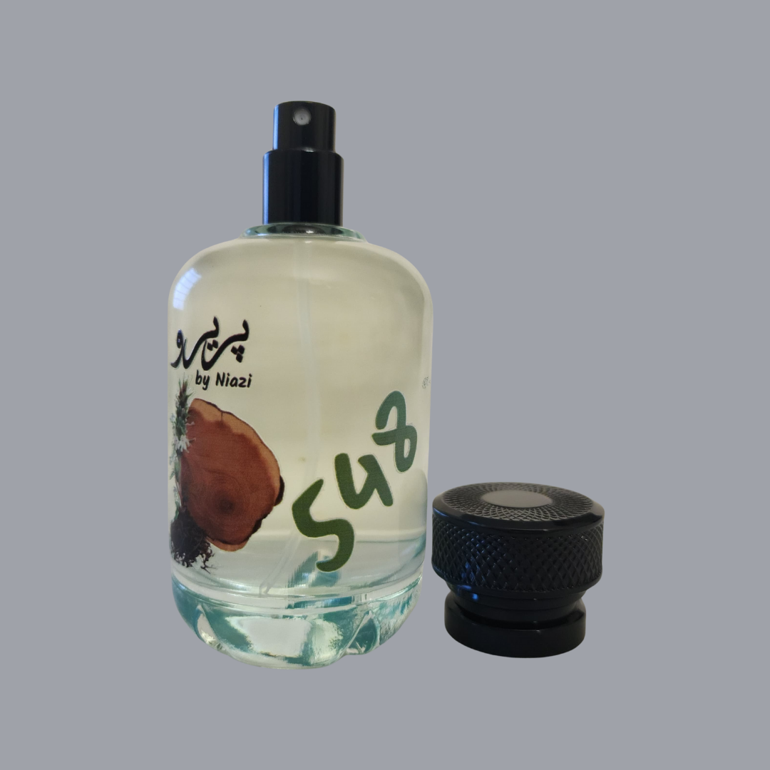 Pareero Urban Journey inspired fragrance with modern fresh masculine notes