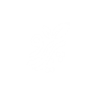 Pareero